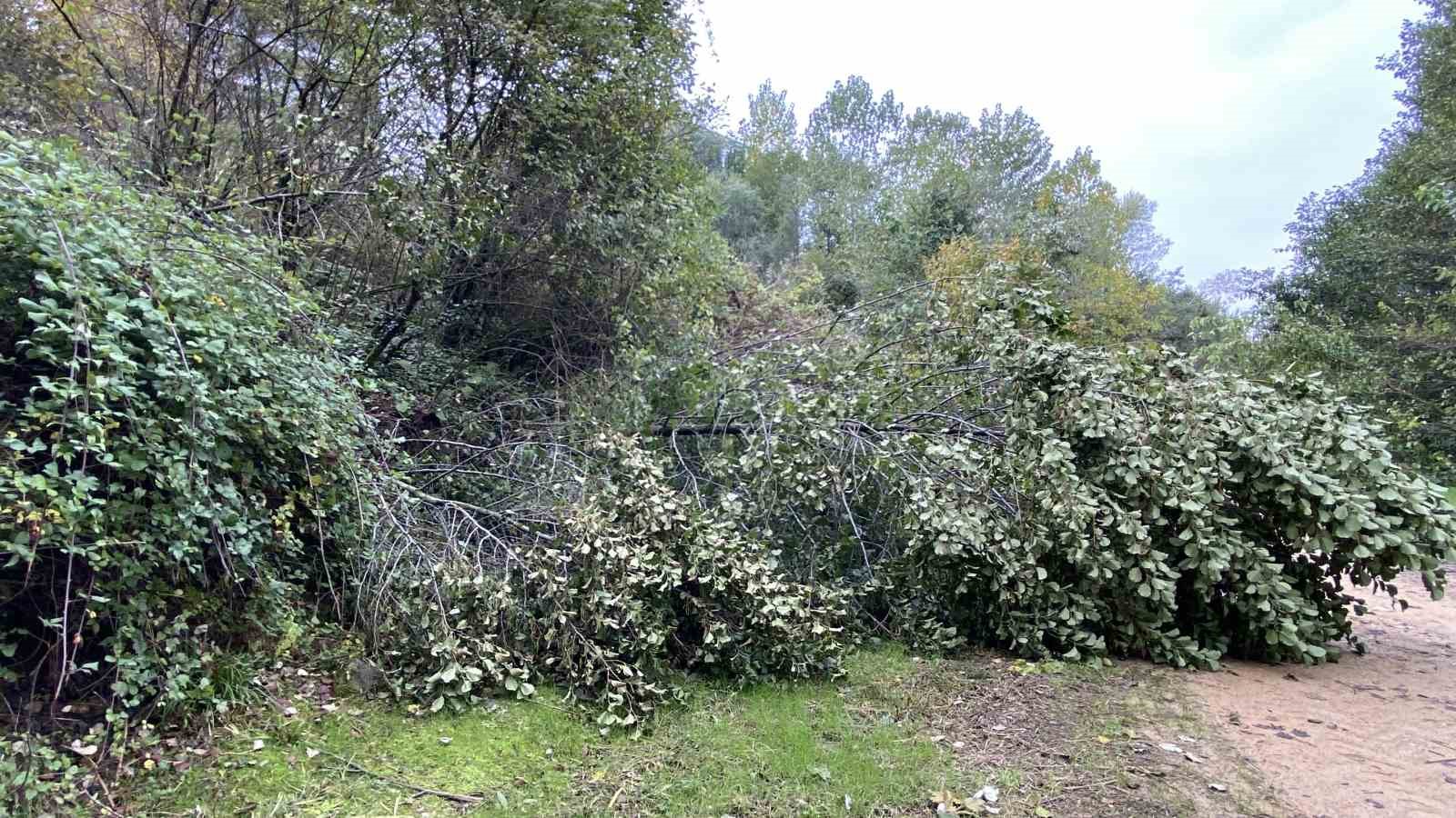 İstinat duvarı çöktü, kayan toprak çocuk parkını yuttu