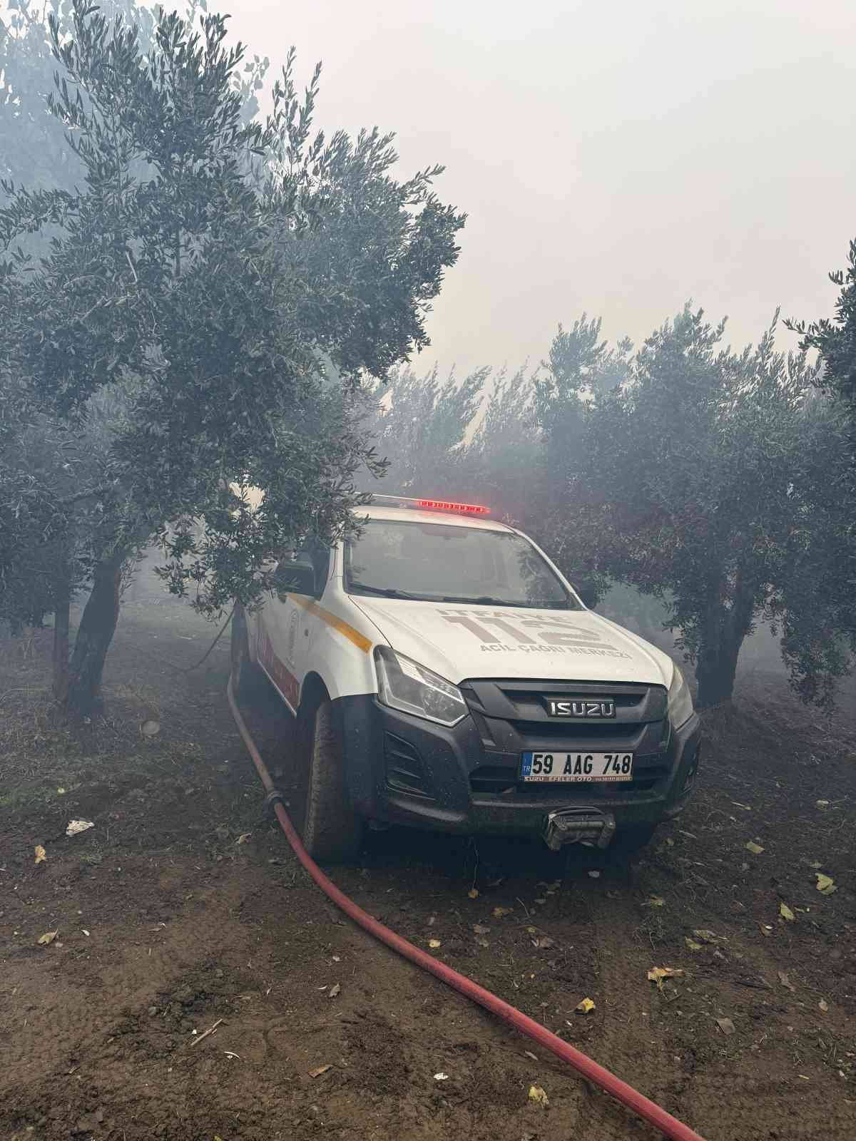 Erdek’te zeytinlik içerisindeki müstakil evde yangın çıktı