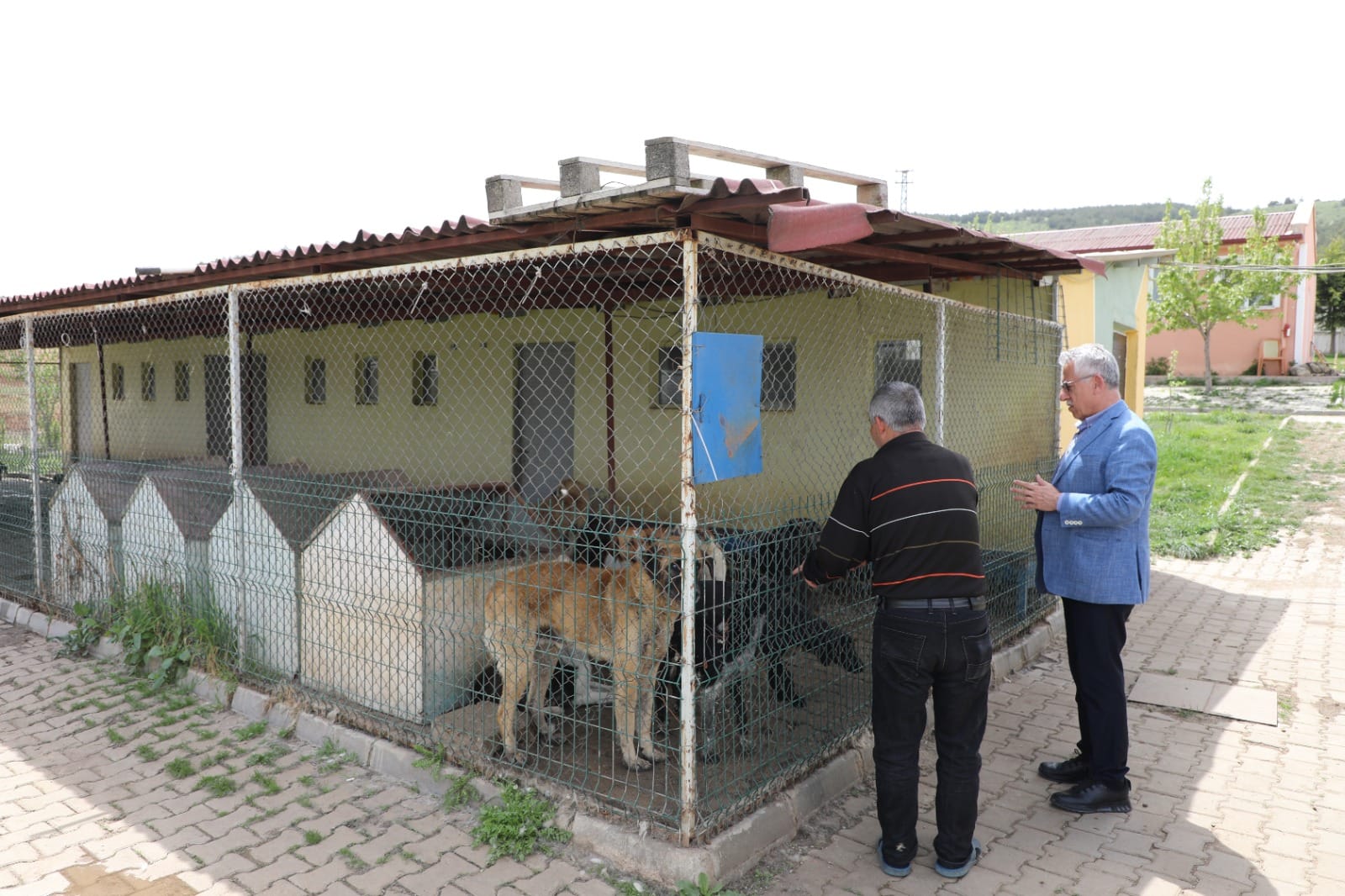 YOZGAT BELEDİYESİ ‘EVCİL KÖY ‘PROJESİNİ HAYATA GEÇİRECEK