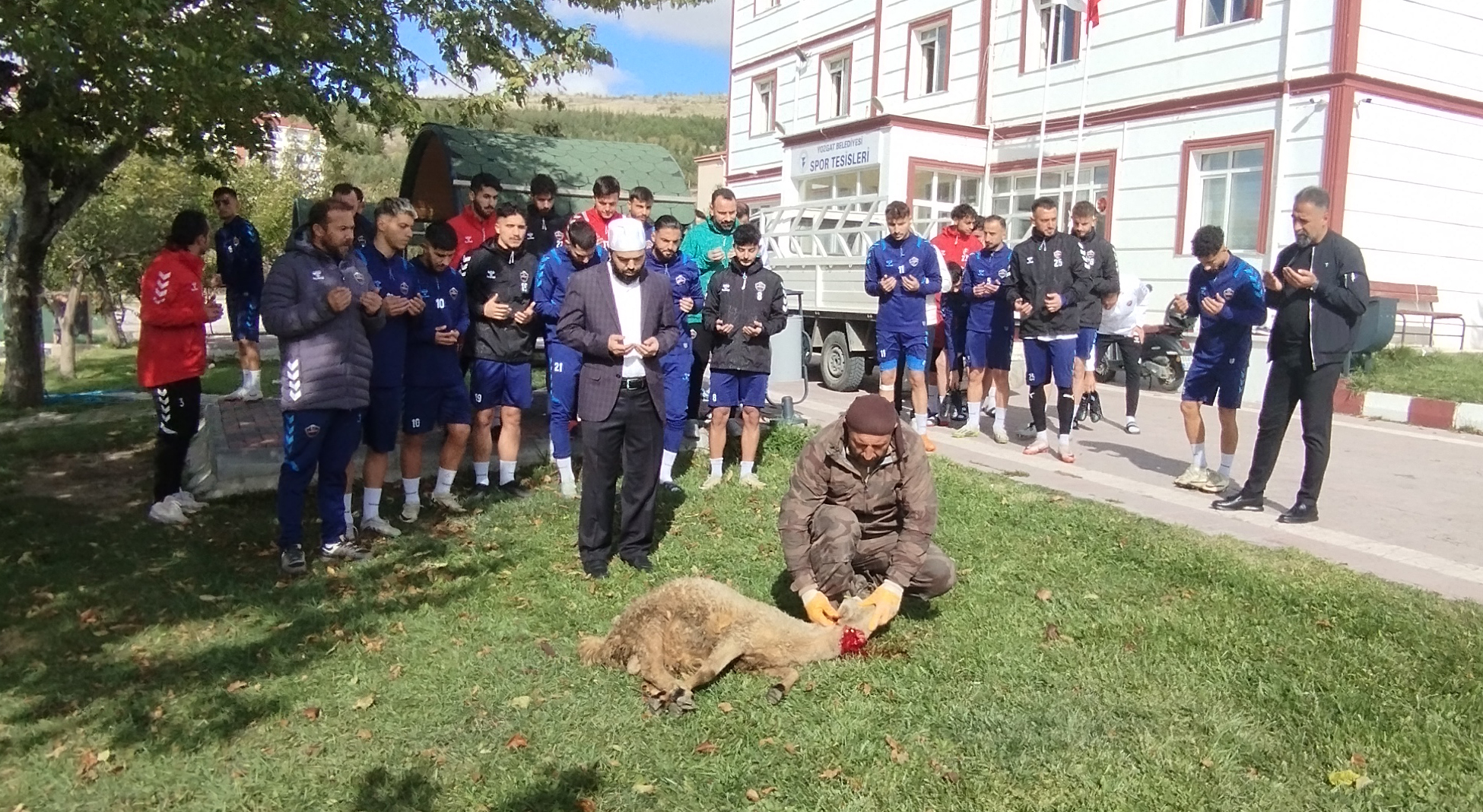 BOZOKSPOR KURBAN KESTİ..TARAFTARLARI DA AYVALIKGÜCÜ MAÇINA BEKLİYOR.