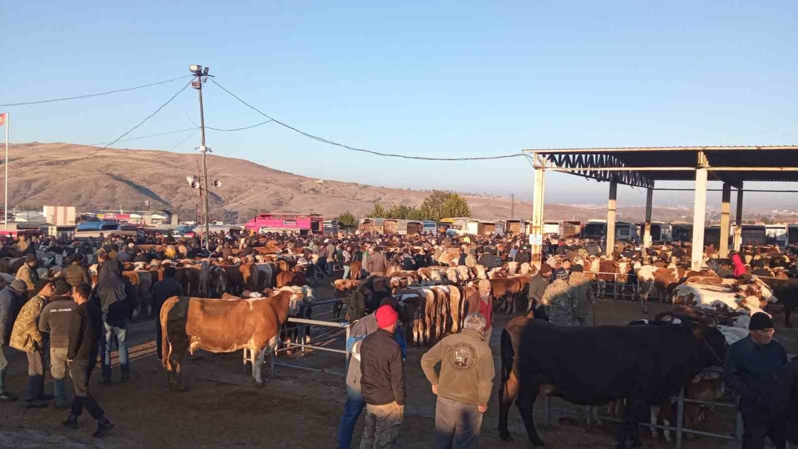 YOZGAT’TA ÜÇ İLÇEDE HAYVAN PAZARLARI GEÇİCİ OLARAK KAPATILDI 